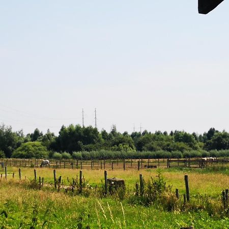 Ruime Romantische Blokhut Zwaanshoek 外观 照片